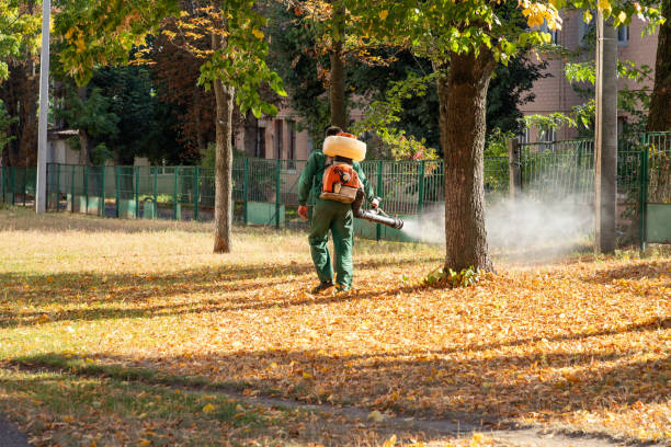 Best Exterminator Services  in Lansdowne, PA